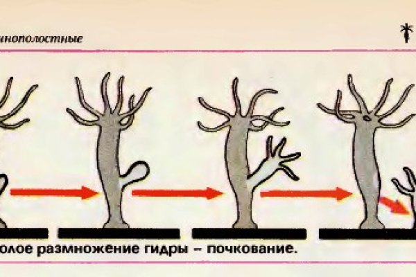 Кракен рабочая ссылка на сайт